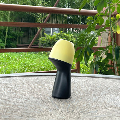 Chai lăn nước hoa hình dạng đặc biệt có thể nạp lại, chai lăn bằng nhựa dùng cho các hỗn hợp liệu pháp hương thơm